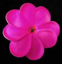 Load image into Gallery viewer, PACIFIC BLOSSOM HAIR CLIP
