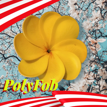 Load image into Gallery viewer, PACIFIC BLOSSOM HAIR CLIP
