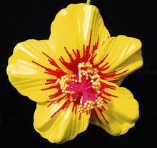 Load image into Gallery viewer, HIBISCUS TRANQUIL SEI
