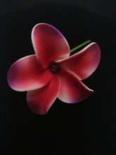 Load image into Gallery viewer, PLUMERIA ENCHANT WITH GRAY PEARL SEI
