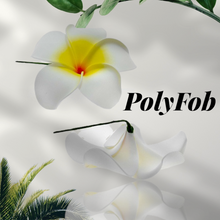 Load image into Gallery viewer, WHITE PUA/PLUMERIA SEI
